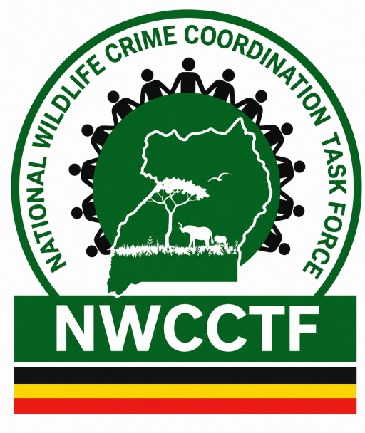 NWCCTF