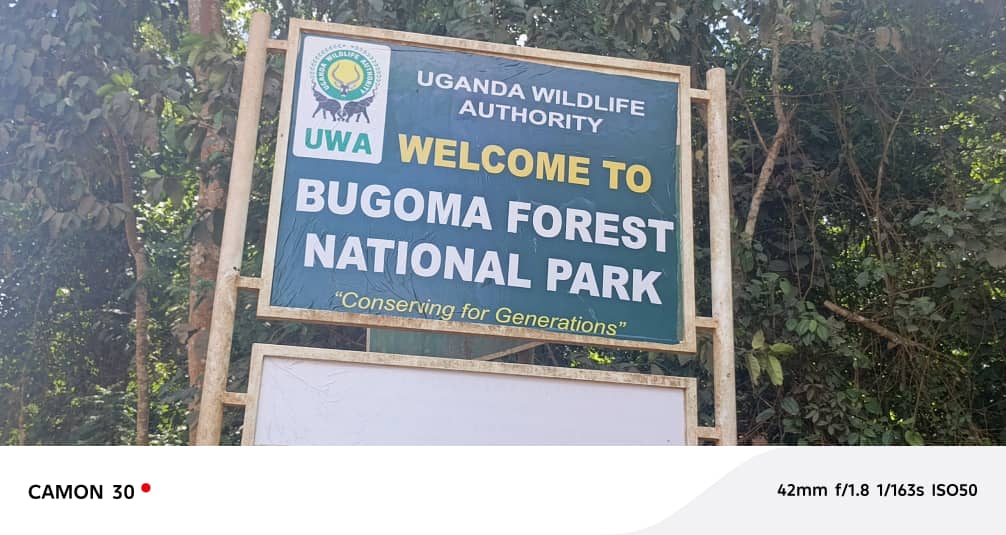 Daily Monitor: Task Force agrees strong measures to safeguard Bugoma Central Forest Reserve