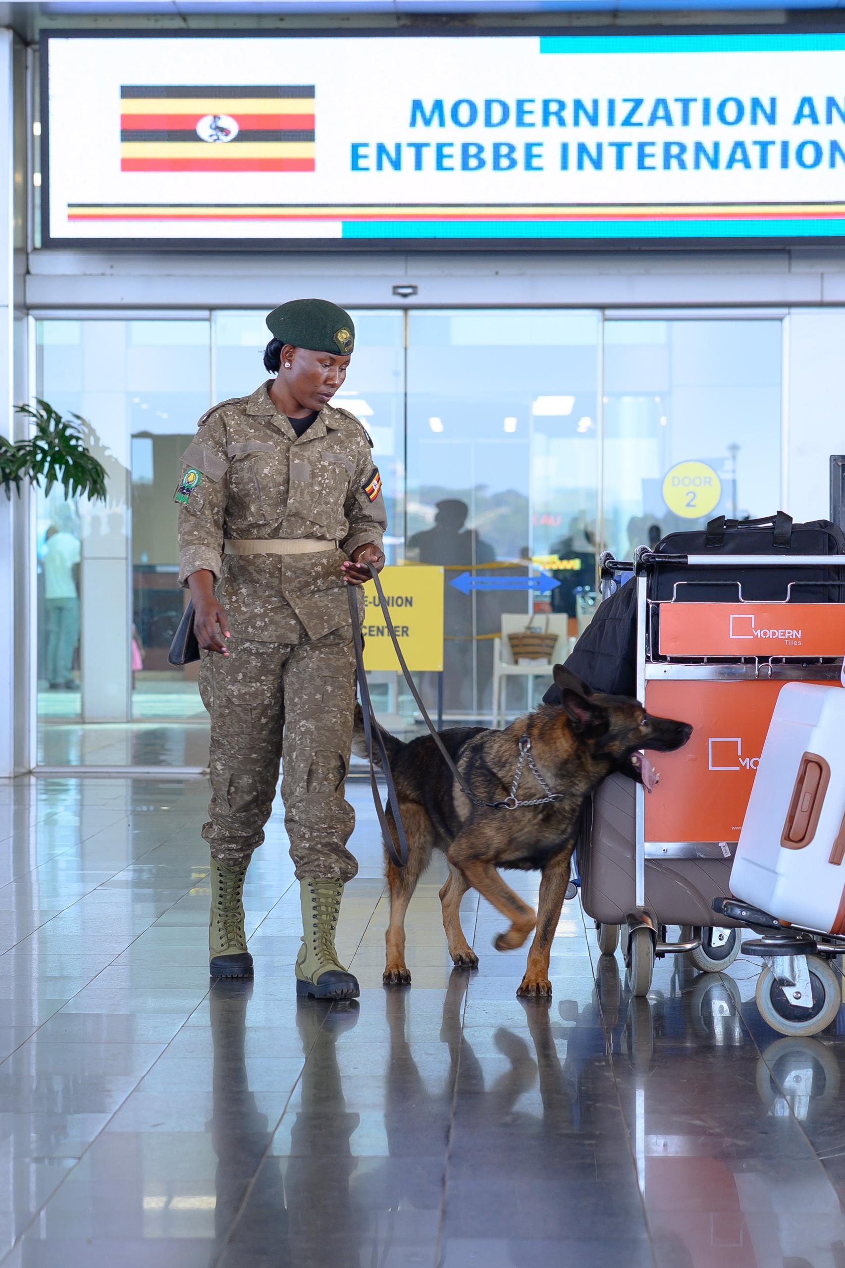 Canines on the frontline: the detection dogs guarding Uganda’s ports of exit