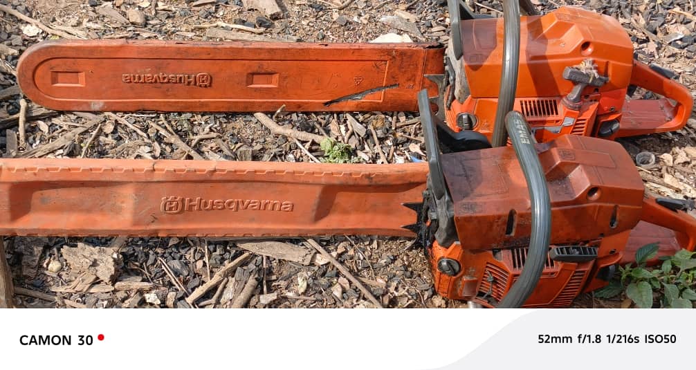 Chainsaws confiscated from illegal logging operations.