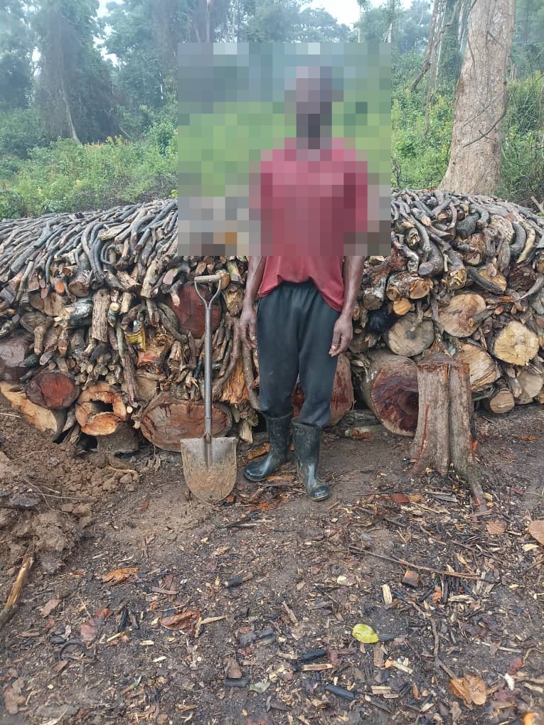 Suspect detained at an illegal timber site (identity protected).