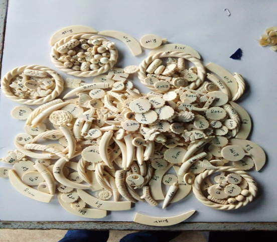 134 Pieces of Worked Ivory Seized, UGX 40 Million Penalty